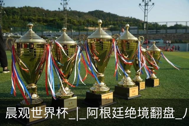 晨观世界杯 | 阿根廷绝境翻盘 八强全部产生